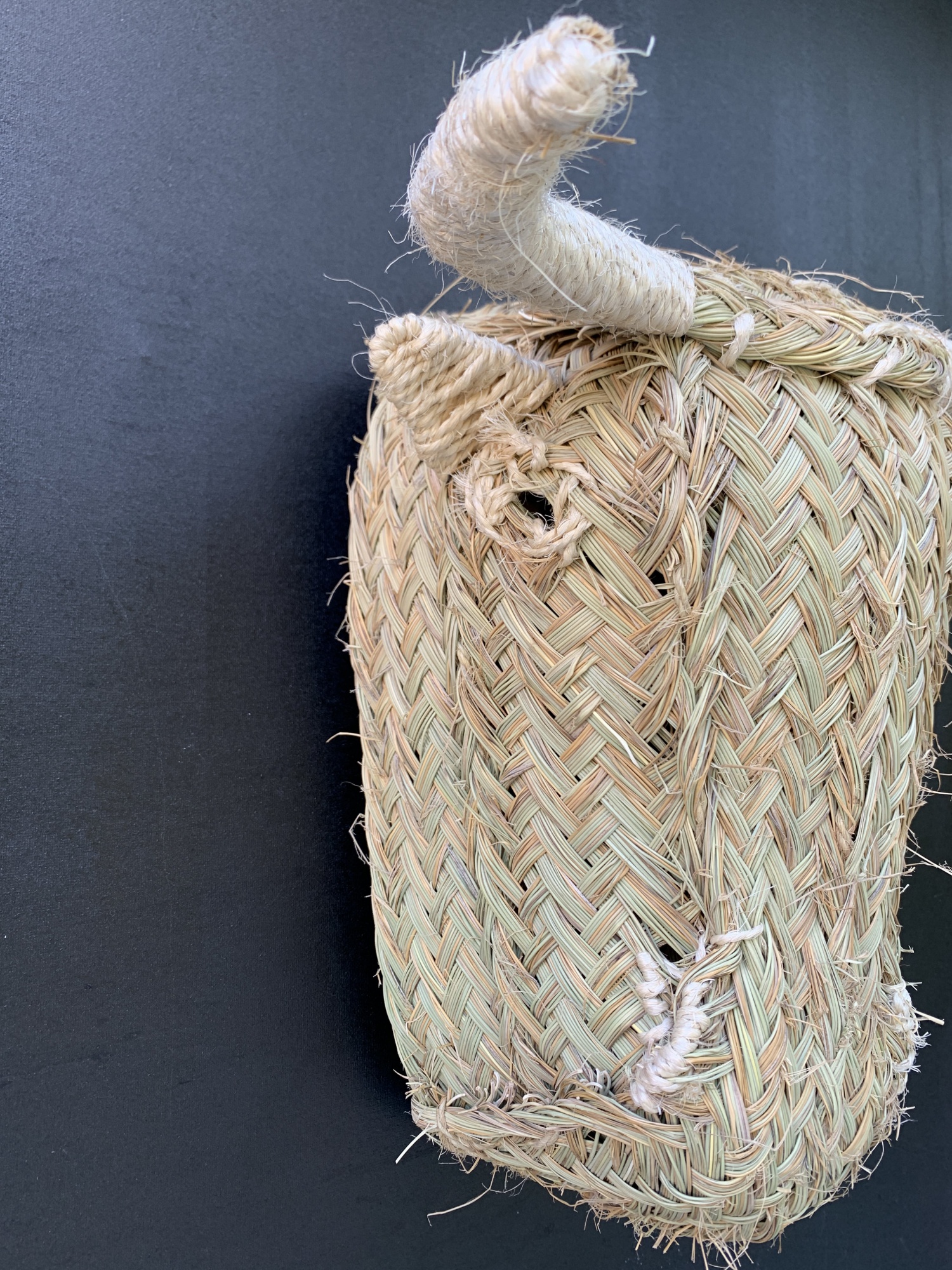 Trophée décoration murale  Têtes d'animaux en paille - Eniamor