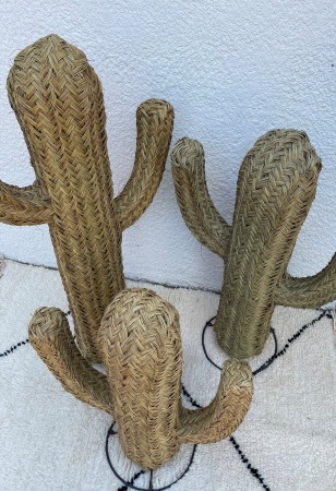 Cactus Doum en paille tressée Ensemble de 3